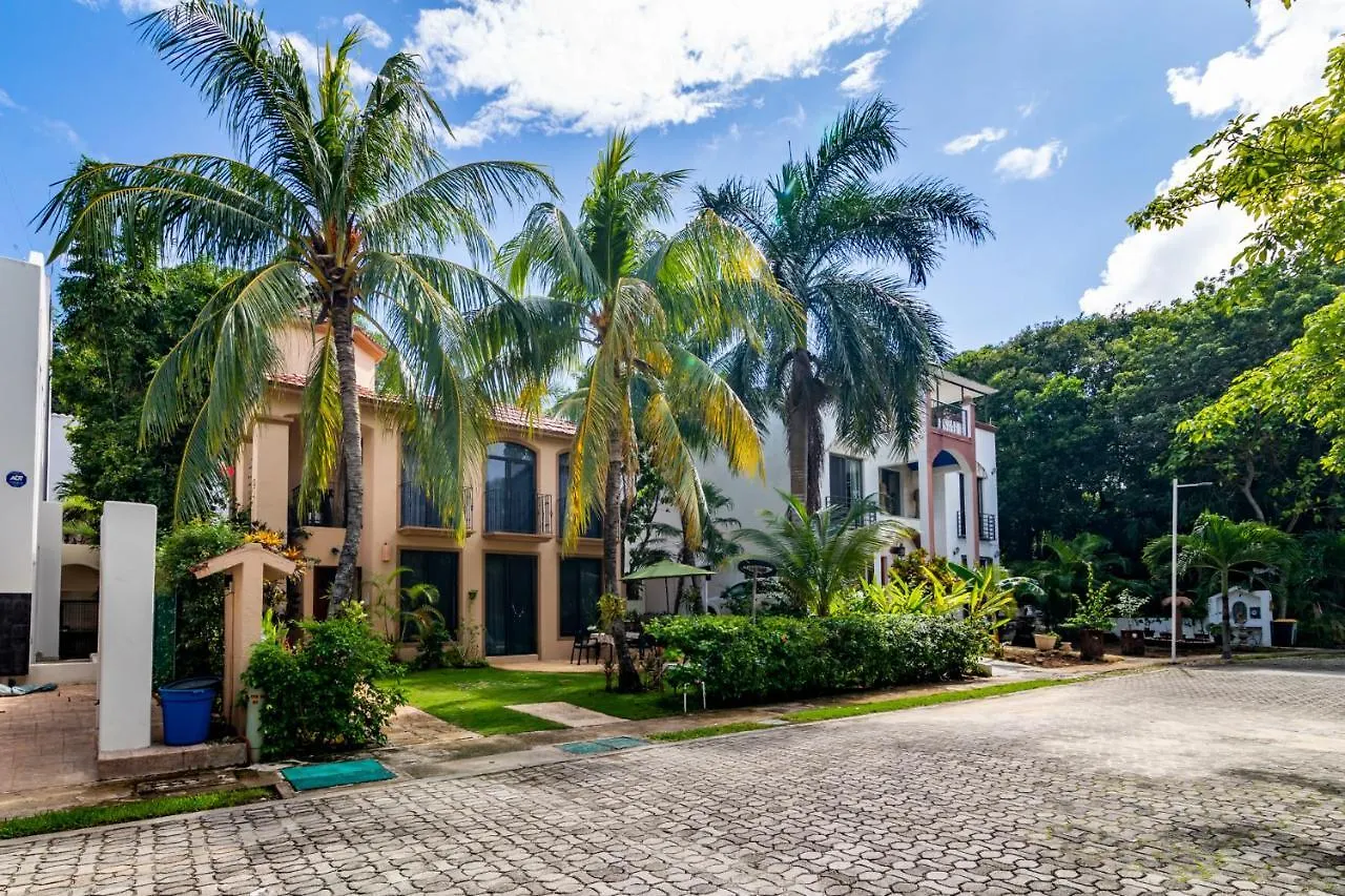 Condo Santuario Dreams location